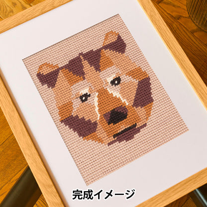 Embroidery kit "Designer Collection Zio Bear C142K" DMC Diementsea