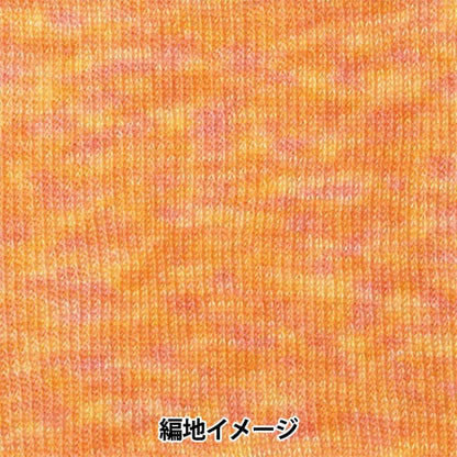 秋冬纱线 “ Hamanaka Mohair彩色303颜色” Hamanaka