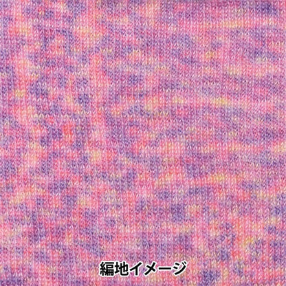 秋冬纱线 “ Hamanaka Mohair彩色304颜色” Hamanaka