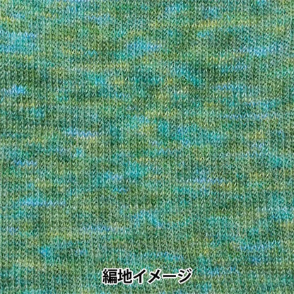 秋冬纱线 “ Hamanaka Mohair彩色307颜色” Hamanaka