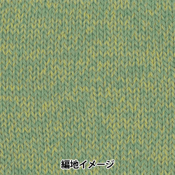秋冬纱线 “树屋离开15颜色” Olympus