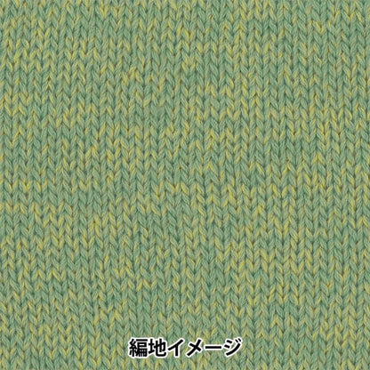 秋冬纱线 “树屋离开15颜色” Olympus