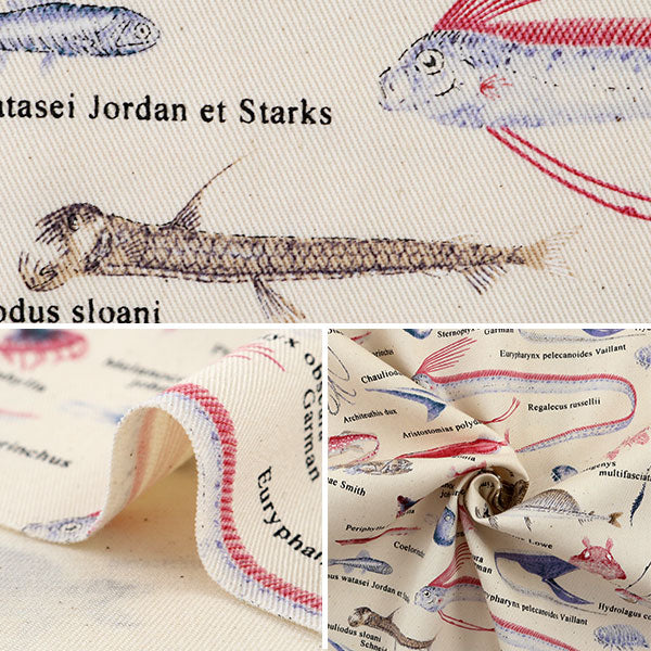 [From quantity 5] Fabric "Twill printFabricTwill deep -sea fish Fabric Cloth admission Entrance Interior A generated] COTTON KOBAYASHI