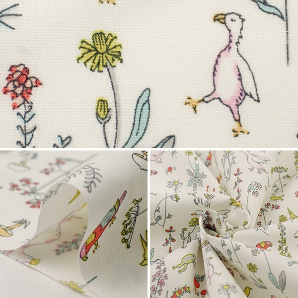 [來自數量5] 織物 “ Liberty Liberty Print Piccadilly Poppin Theo 3635176-AP” Liberty Japan