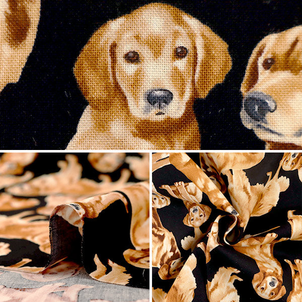 [From quantity 5] Fabric "Inkjet Print Golden Retriever C4892-Golden" USA cotton