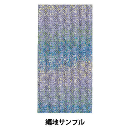 秋冬紗線 “ Diainfni 1405號”