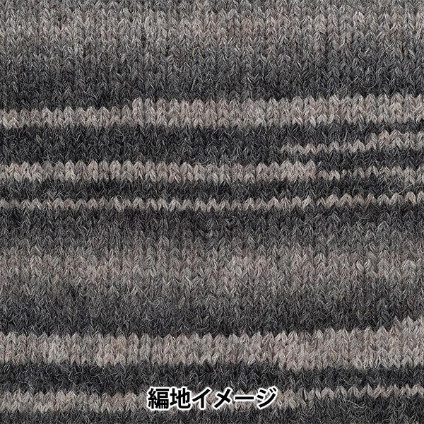 Fall and winterYarn "Andnes 2nd color" RICHMORE Rich More