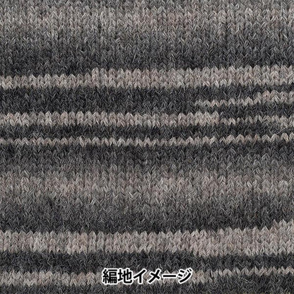 Fall and winterYarn "Andnes 2nd color" RICHMORE Rich More