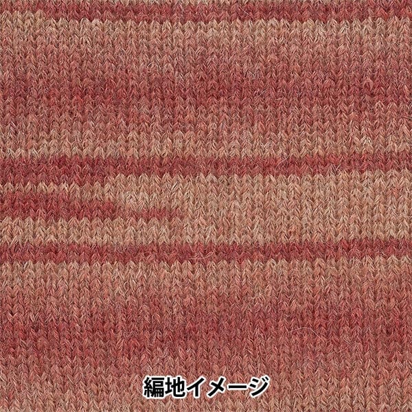 Fall and winterYarn "Andnes 6th color" RICHMORE Rich More