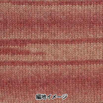 Fall and winterYarn "Andnes 6th color" RICHMORE Rich More