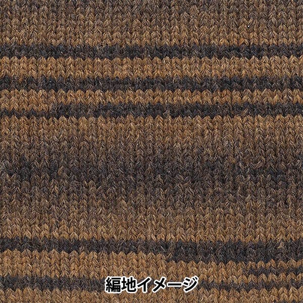 Fall and winterYarn "Andnes 8th color" RICHMORE Rich More