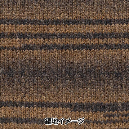 Fall and winterYarn "Andnes 8th color" RICHMORE Rich More