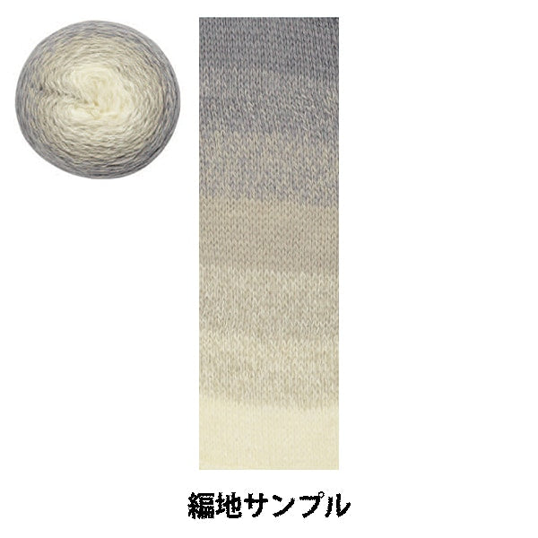 秋冬纱线 “抗菌奇迹羊毛12颜色和白色”世界节日节日