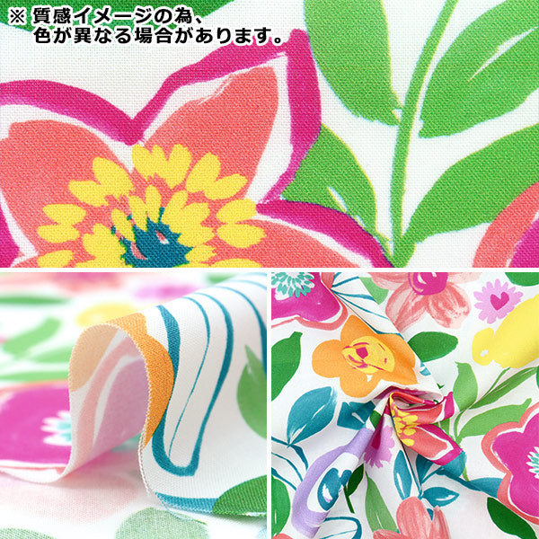 [来自数量5] 织物 “美国棉花花朵蓝绿色DCX9947-TEAL”