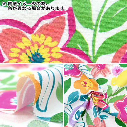 [来自数量5] 织物 “美国棉花花朵蓝绿色DCX9947-TEAL”