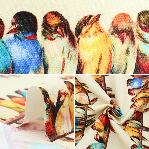 [From quantity 5] Fabric "USA Cotton Vintage Bird Watcher 20848-268"