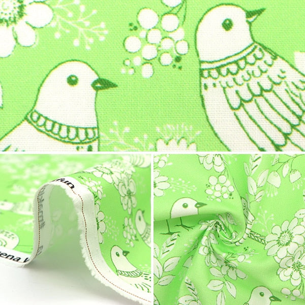 [From quantity 5] Fabric "USA Cotton Buena Vista CX10022-LIME"