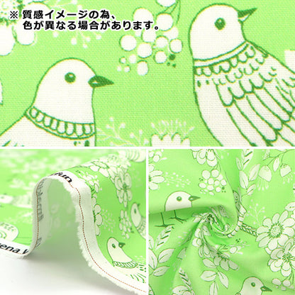 [From quantity 5] Fabric "USA Cotton Buena Vista CX10022-PINK"