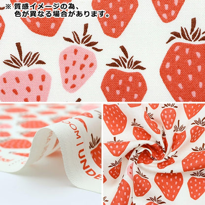 [From quantity 5] Fabric "USA Cotton+Steel) Sheeting Queen of Belize Lv500-CB4]