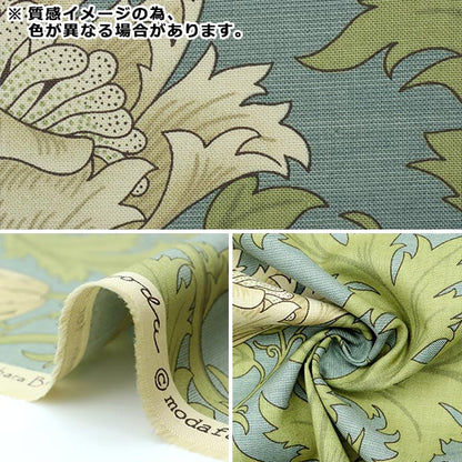 [From quantity 5] Fabric "Moda Best of Morris Best of Morris Sheeting Anemone beige 8217-22]