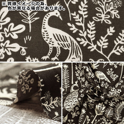 [来自数量5] 织物 “美国棉花Manjarishylt Emerald RP708-EM6”