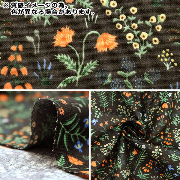 [来自数量5] 织物 “美国棉花经理Den Cream RP701-CR2”