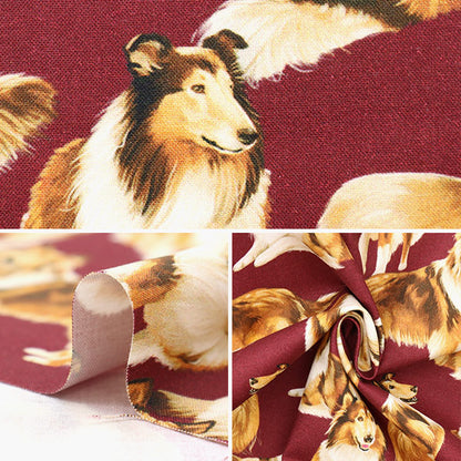 [From quantity 5] Fabric "USA Cotton Pure Breed C1031-Maron"