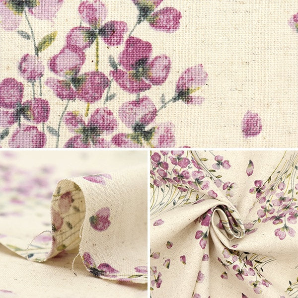 [From quantity 5] Fabric "MOMEN-T moment cotton linenSheeting Sumire beige 148-1255-I1]