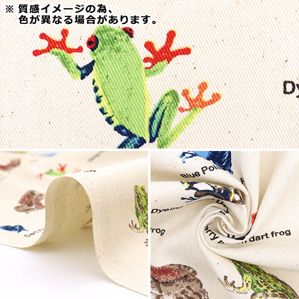 [來自數量5] 織物 “ Twill Frog圖片書KTS6857-D” COTTON KOBAYASHI