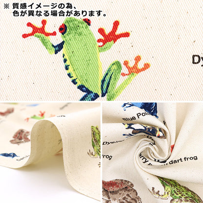 [來自數量5] 織物 “ Twill Frog圖片書KTS6857-D” COTTON KOBAYASHI