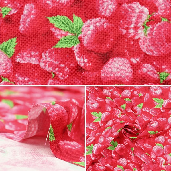 [From quantity 5] Fabric "USA Cotton Berry Good Raspberry Pattern 154-Raspberry"