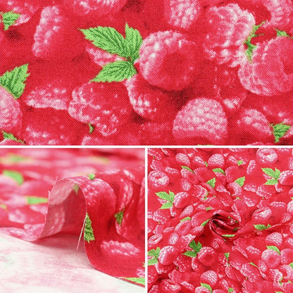[From quantity 5] Fabric "USA Cotton Berry Good Raspberry Pattern 154-Raspberry"