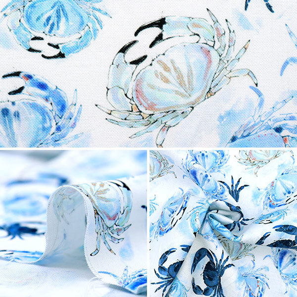 [From quantity 5] Fabric "USA Cotton Ocean Blue Clubs CD1302-WHITE"