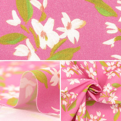 [From quantity 5] Fabric "USA Cotton Dearstella Posies DCWR2130-RASB"