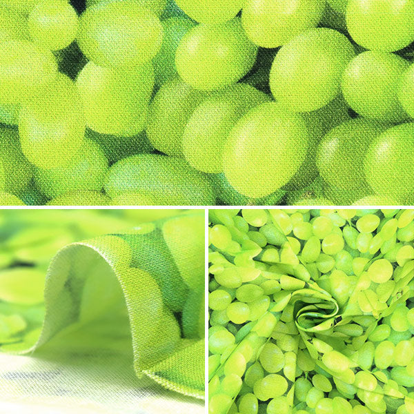 [From quantity 5] Fabric "USA Cotton Packdo Grapeus Green Fruit-CD1373"