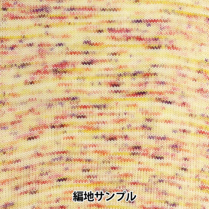 秋冬纱线 “五颜六色的尾巴dai H08彩色ayfs22117”