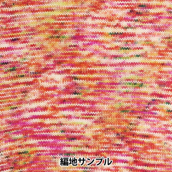 秋冬纱线 “五颜六色的尾巴dai h10颜色ayfs22117”