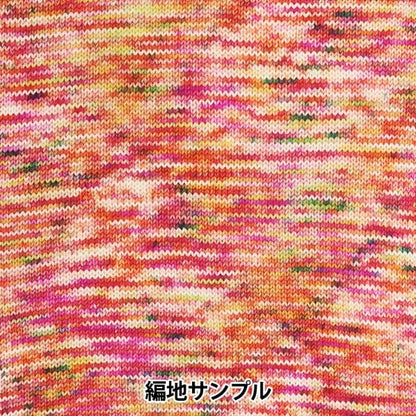 秋冬纱线 “五颜六色的尾巴dai h10颜色ayfs22117”