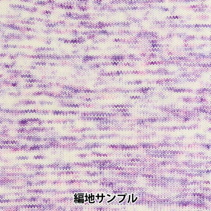 秋冬纱线 “五颜六色的尾巴dai H11颜色ayfs22117”