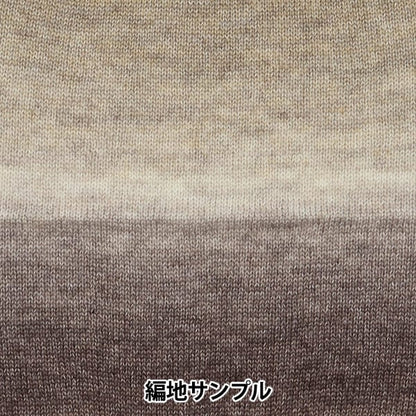 秋冬纱线 “头发调查6第6号”