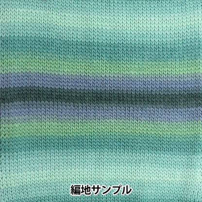 秋冬纱线 “ ROIT梯度GT12颜色”