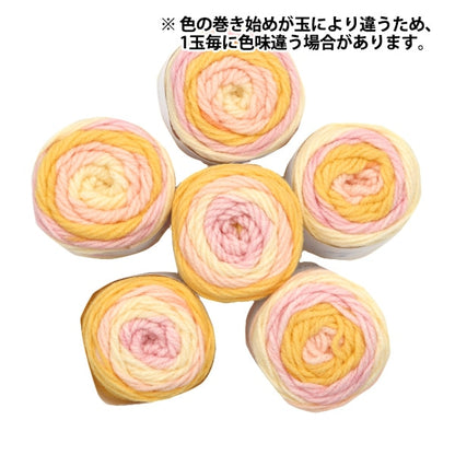 纱线 “抗菌色彩清洁18种颜色”世界Festa世界Festa