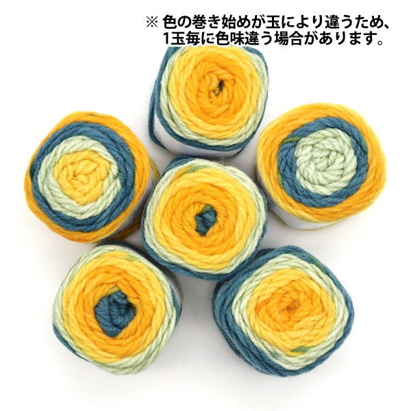 纱线 “抗菌色彩清洁24颜色”世界Festa世界Festa