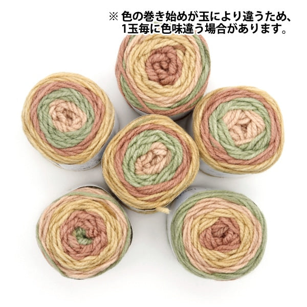 纱线 “抗菌色彩清洁25种颜色”世界Festa世界Festa