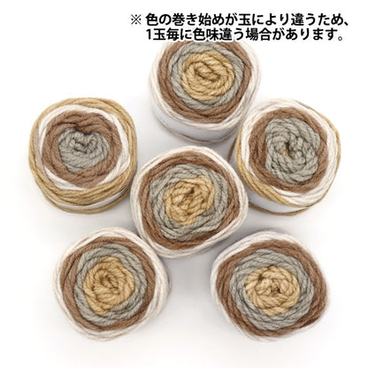纱线 “抗菌色彩清洁26颜色”世界Festa世界Festa