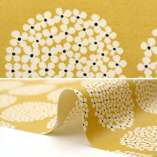 [From quantity 5] Fabric "10th canvas laminate hydrangea yellow R-UP5553-H" COTTON KOBAYASHI