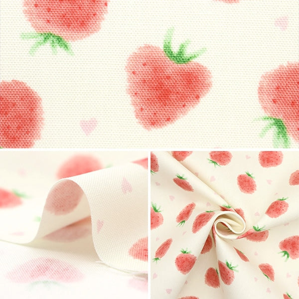 [From quantity 5] Fabric 『Oxford Strawberry ivory COCA-STAWB22A]