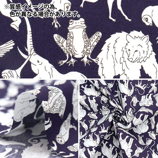 [From quantity 5] Fabric "Liberty Fabric Picadely Poppin Arthers Arc DC29893L111BP" Liberty Japan