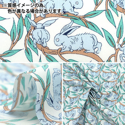 [来自数量5] 织物 “自由织物Picadilly Poppin棉尾3332262-CP” Liberty Japan