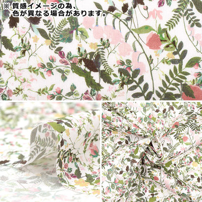 【数量5から】 生地 『リバティ・ファブリックス タナローン ハイディメドゥ 3638139-J23C』 【ユザワヤオリジナル】